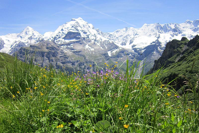 Photo d'un paysage alpin Suisse