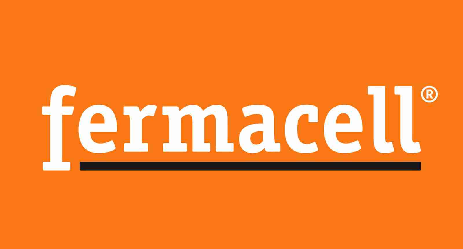 Logo de la marque Fermacell